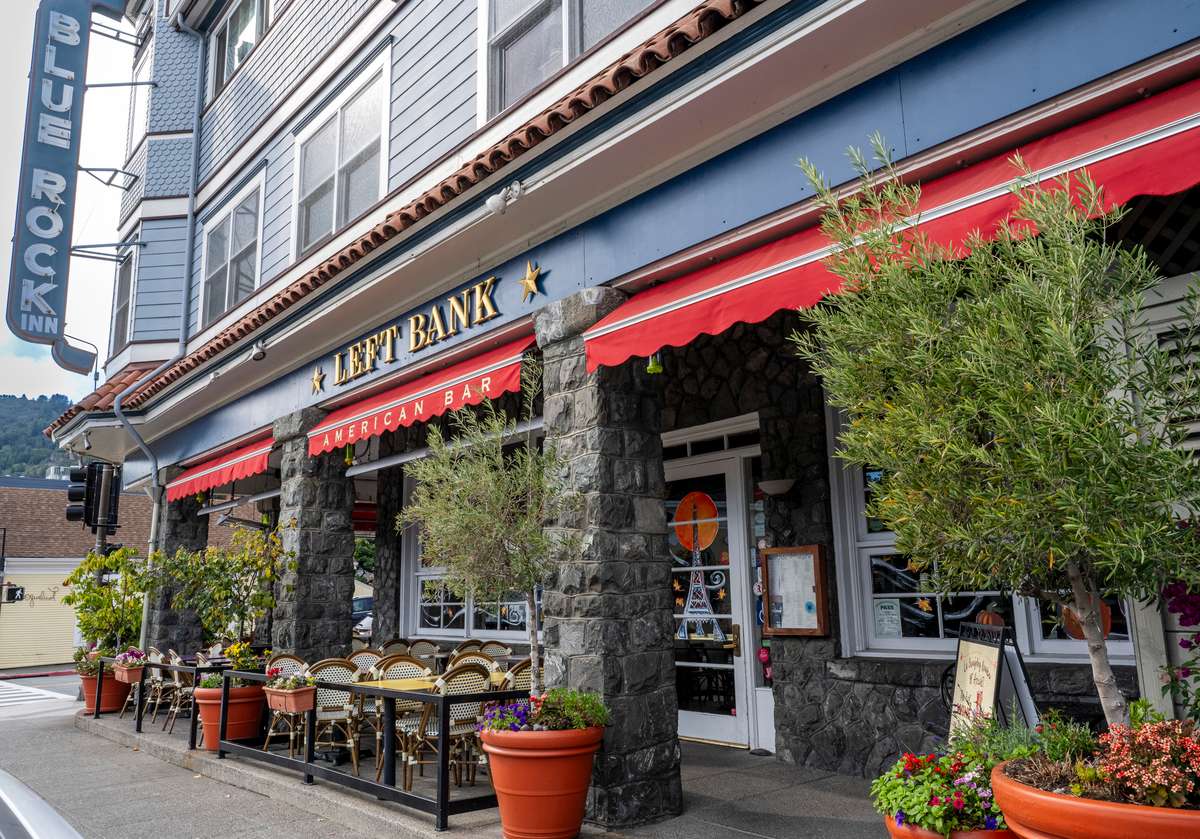 Left Bank Larkspur