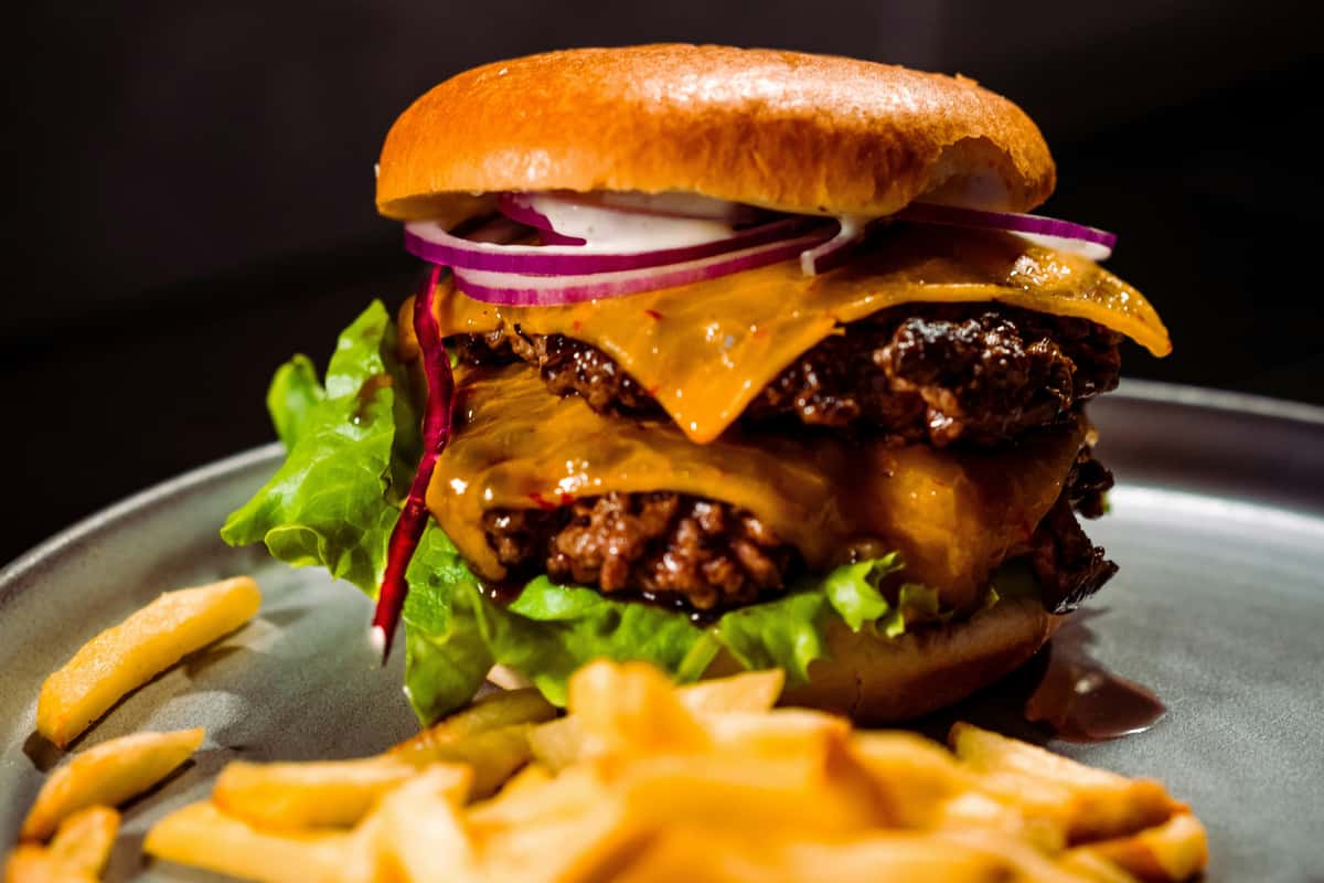 Cheese burger with fries