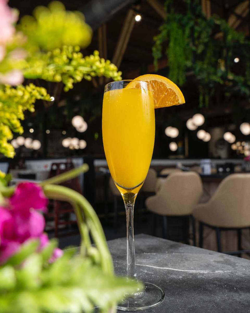 Mimosa