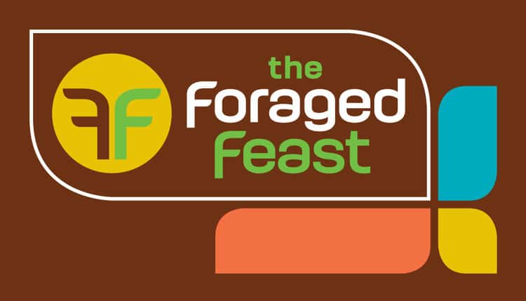 The Foraged Forest Logo