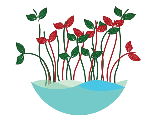 bloomont farms logo