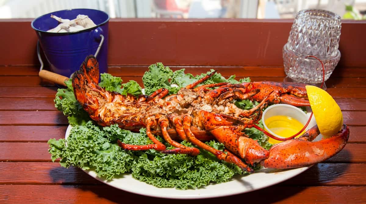 A beautifully plated whole lobster rests on a bed of fresh greens, seasoned and garnished for a rich, coastal presentation. A side of melted butter and lemon completes this classic seafood dish.