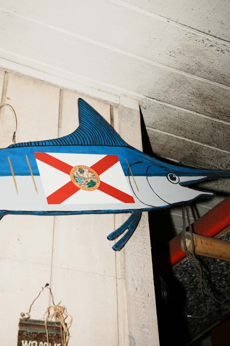 fish