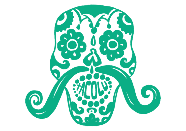 skull logo