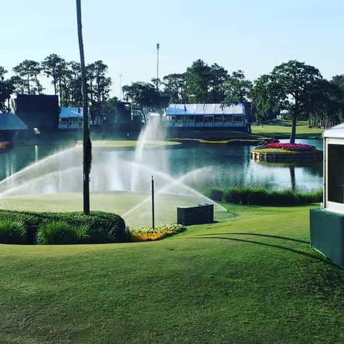 golf green