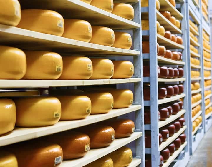 cheese on a rack