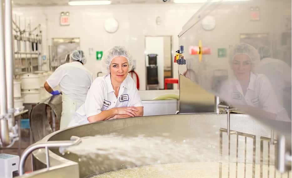gouda being made
