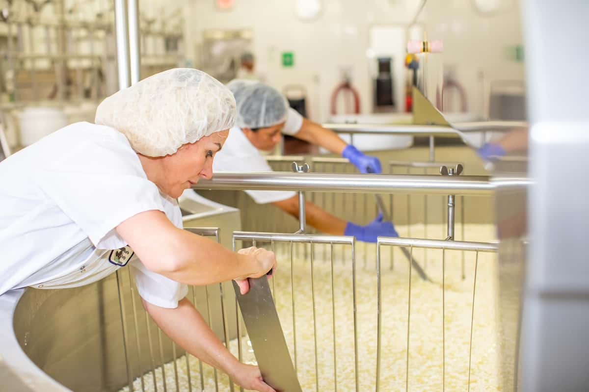 Marieke making cheese
