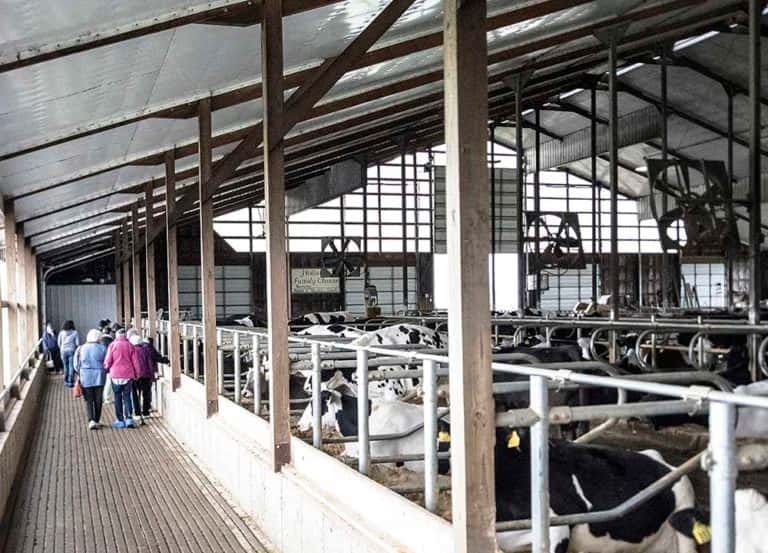 TOUR IN BARN