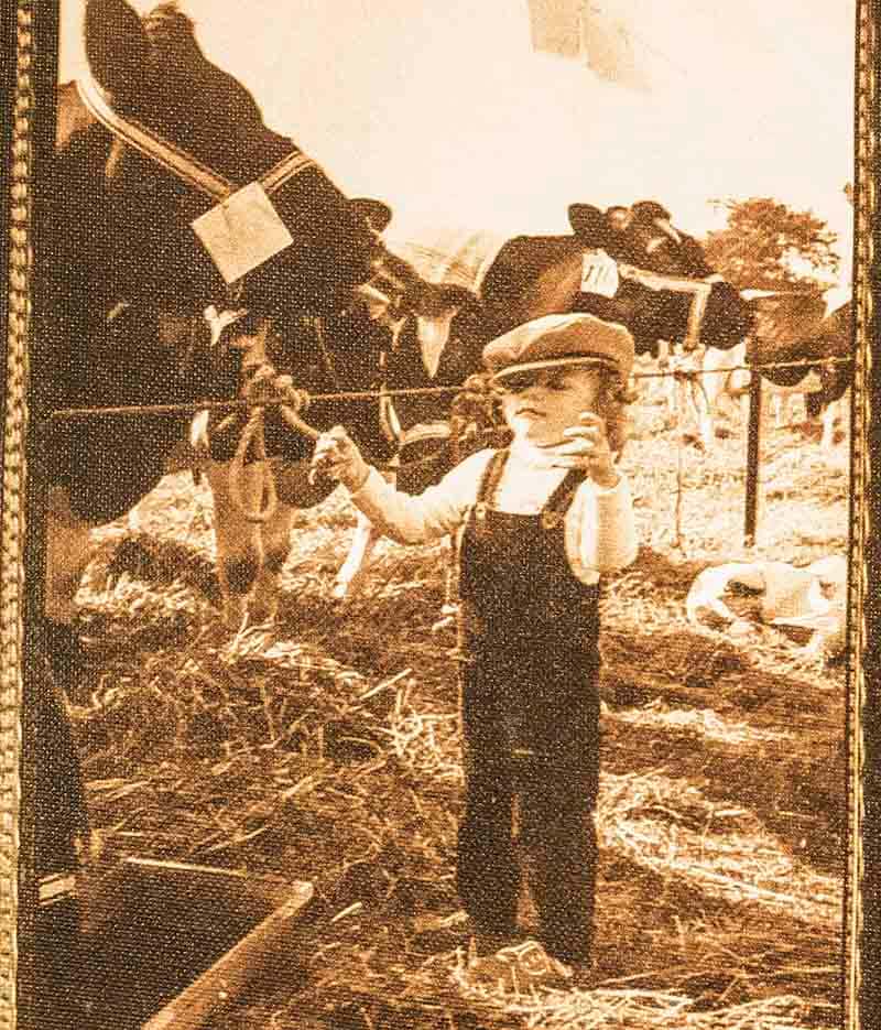 About Marieke Gouda Wisconsin Cheese, Farm, Store, and Cafe in Thorp, WI