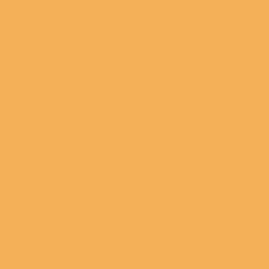 Cheff JJ Colors