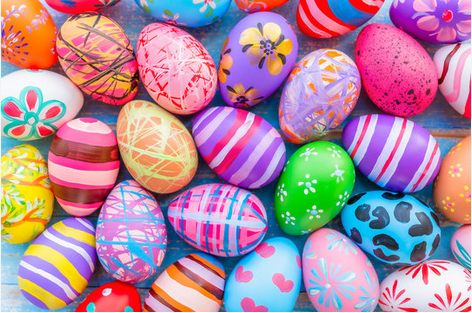 eggs