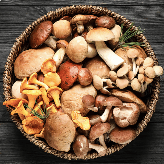mushrooms