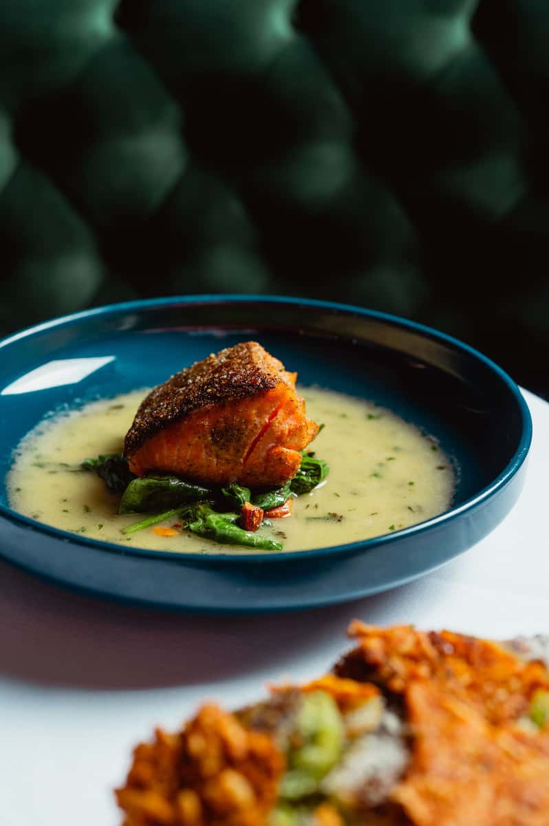 salmon