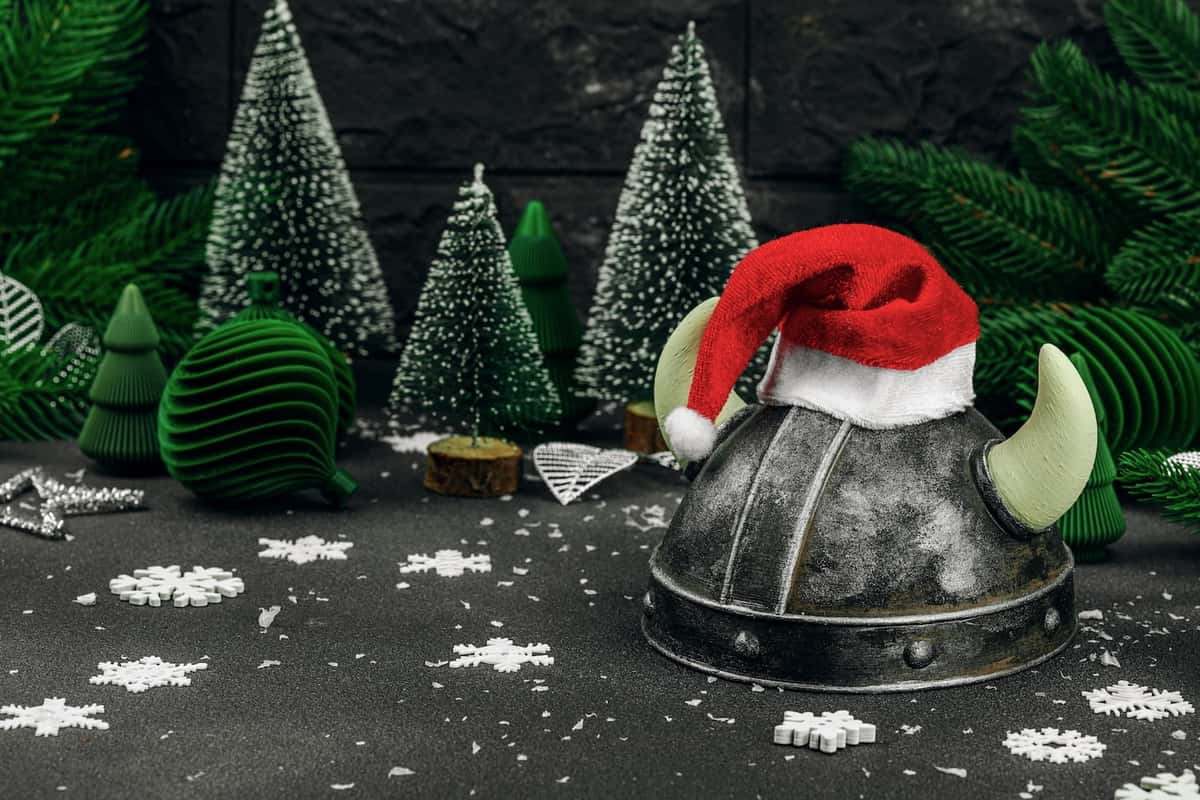 viking fan gift buying guide