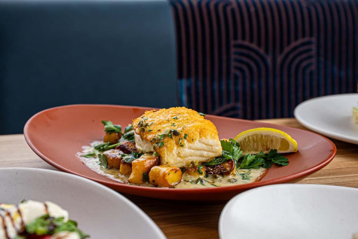 halibut