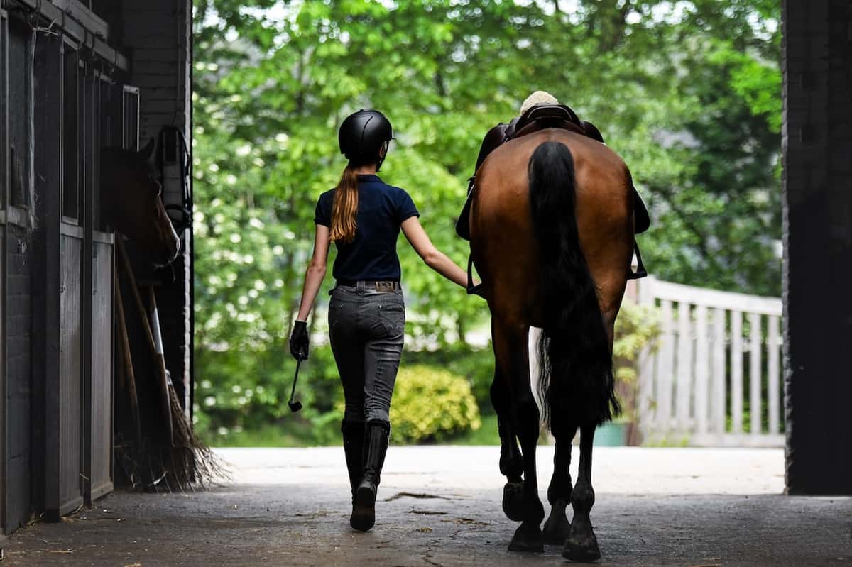 horse jockey walking a horse