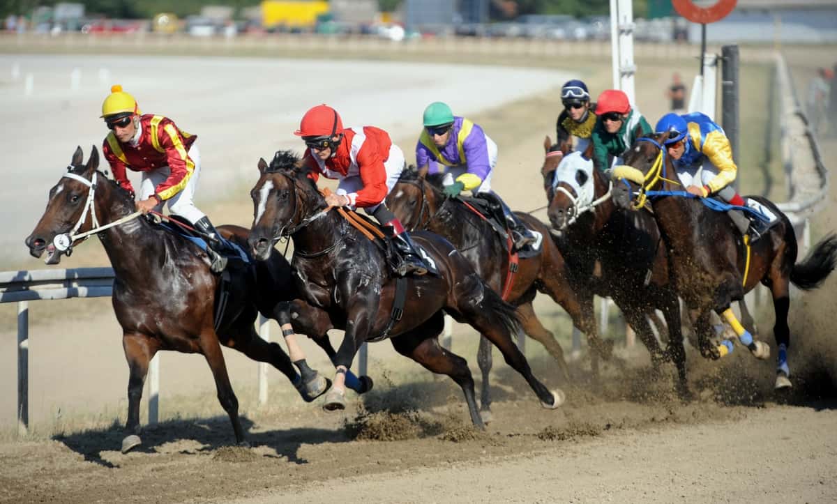 horse racing event taking place