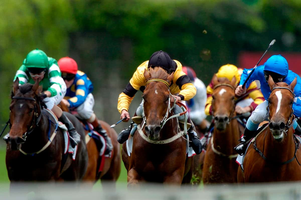 best horse races to attend
