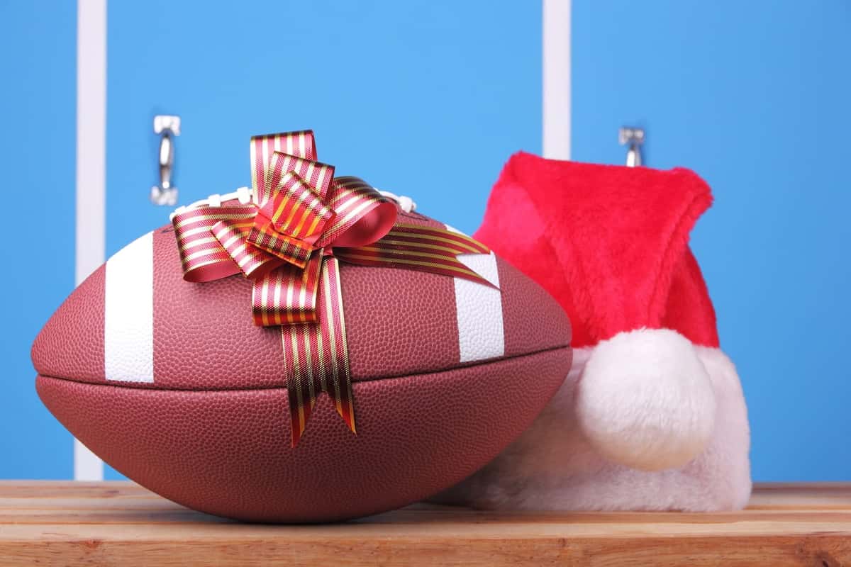 viking fan gift buying guide