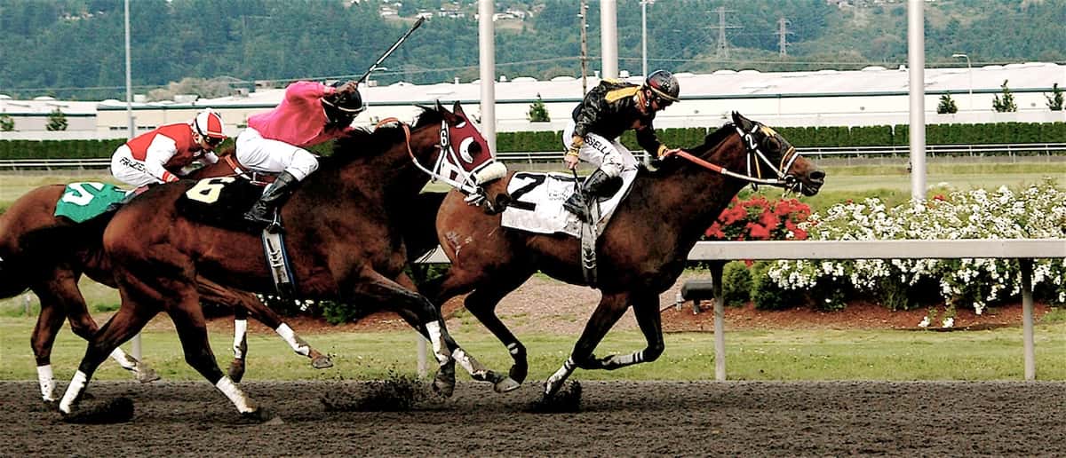 fast horses on a racetrack