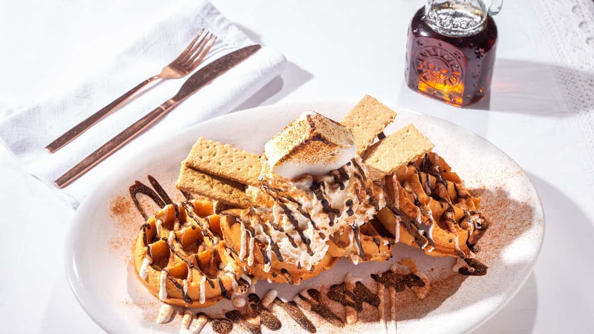 Waffle with chocolate drizzle, whipped cream, and graham crackers.