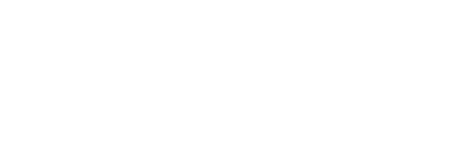 mcflamingo text logo