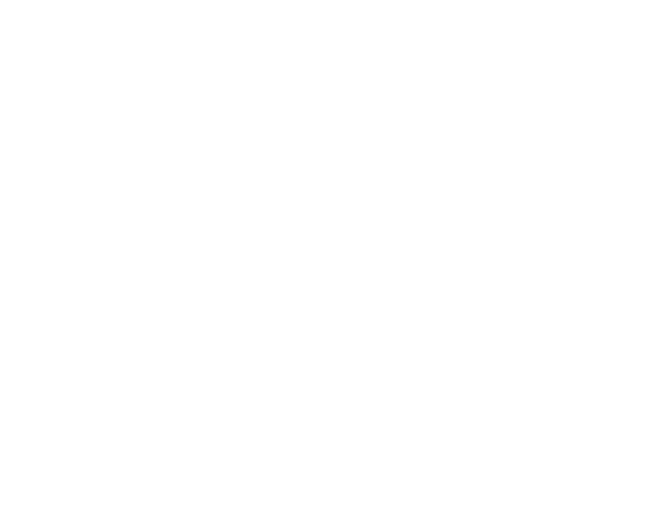 lock 29 logo