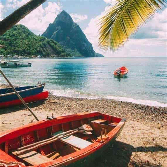 beach with palm tree and kayaks on sand with mountains in background