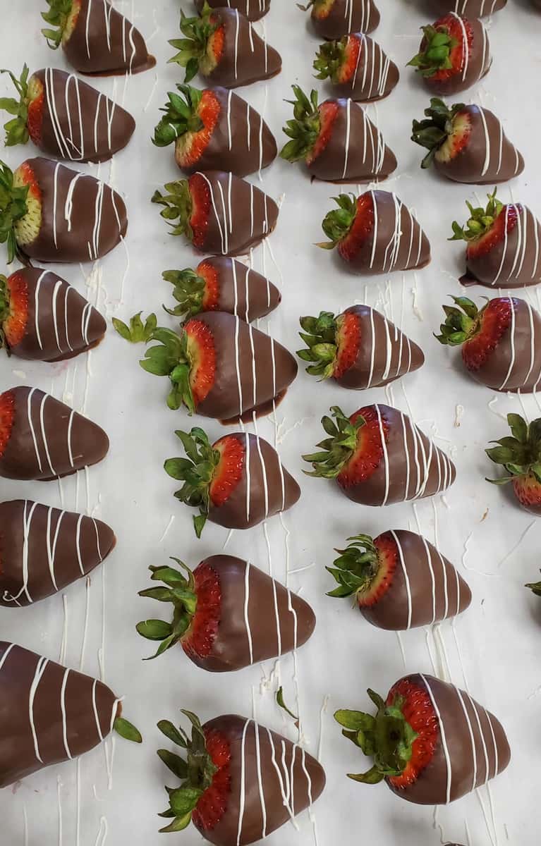 Chocolate-covered strawberries with white chocolate drizzle arranged on a bakery tray – gourmet dark chocolate dipped strawberries with fresh green tops, perfect for Valentine's Day gifts, wedding dessert tables, or chocolate shop catering displays.