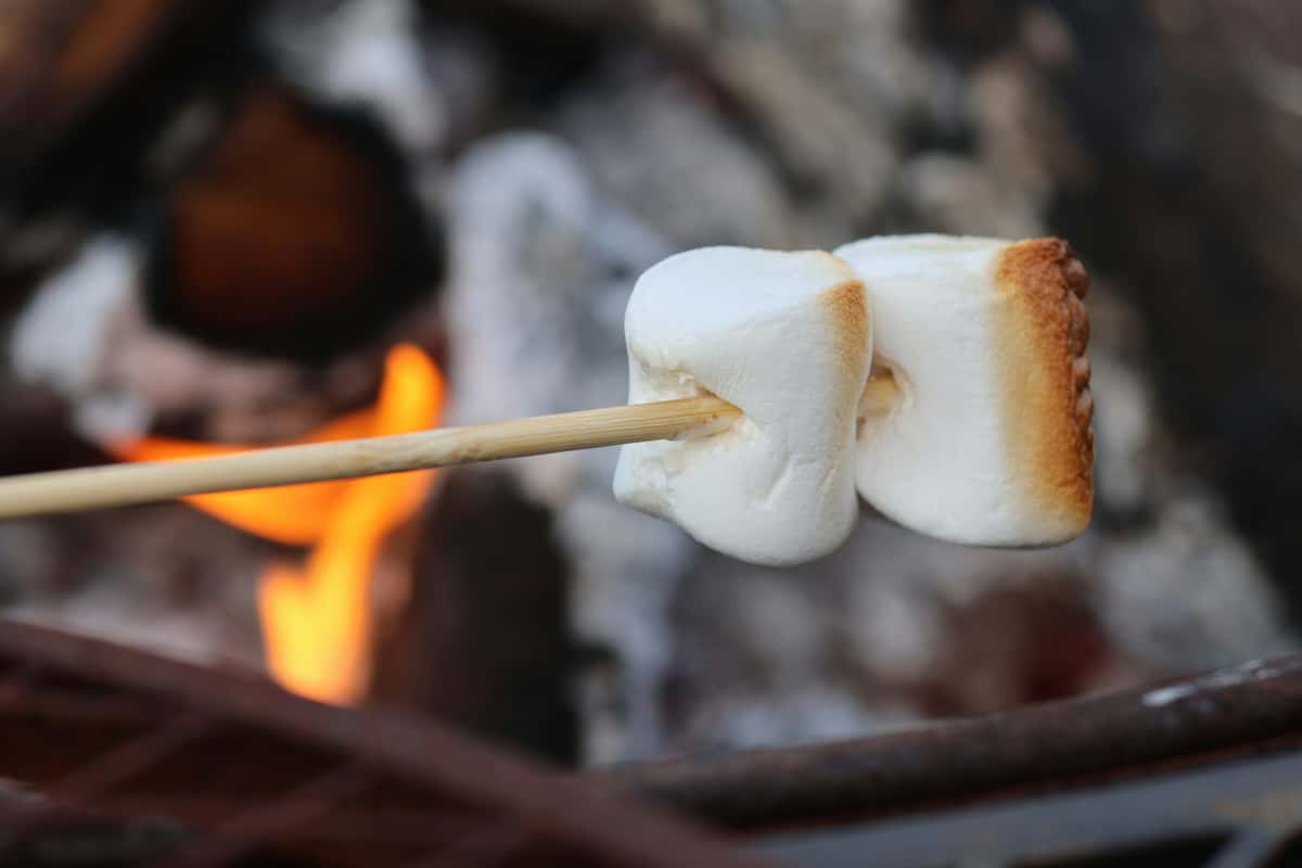 Toasted Marshmallow