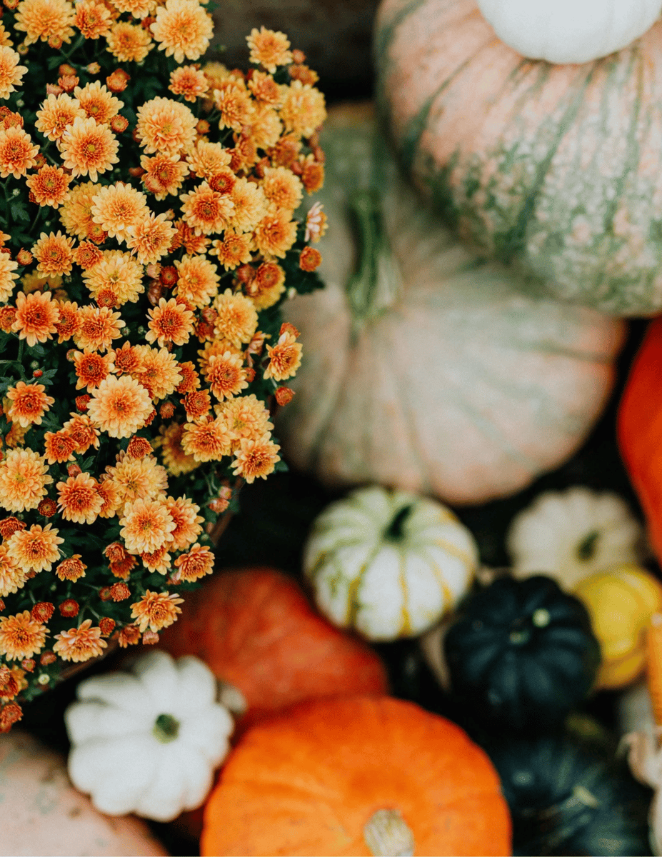 Thanksgiving decor