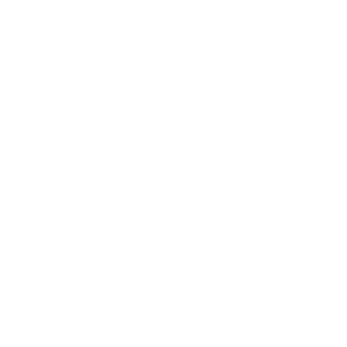 The VIP Club