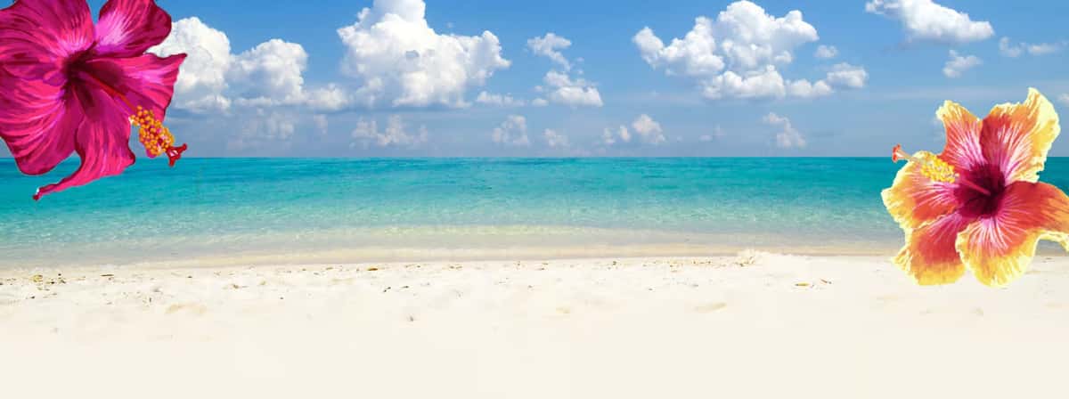 ocean headers