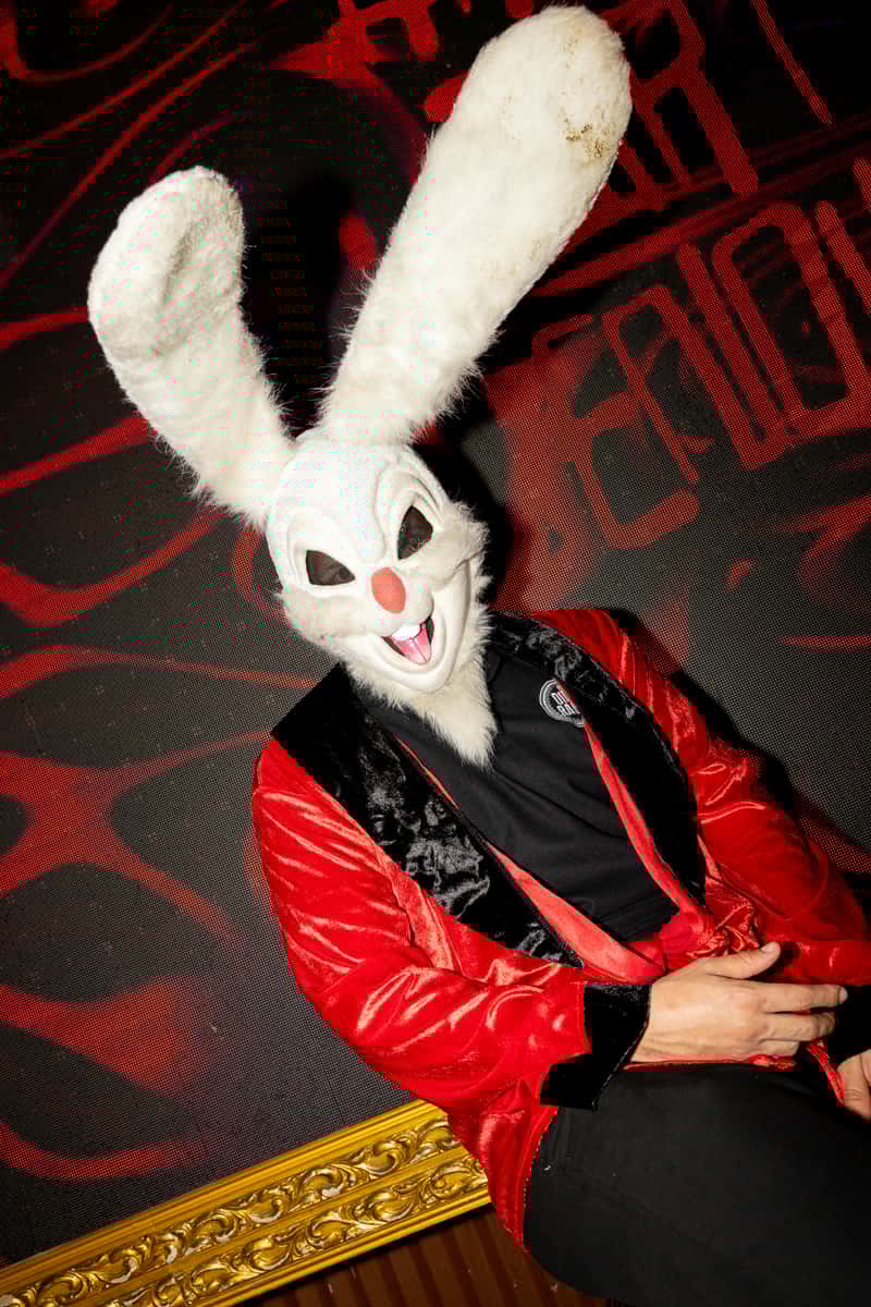 Rabbit Mascot