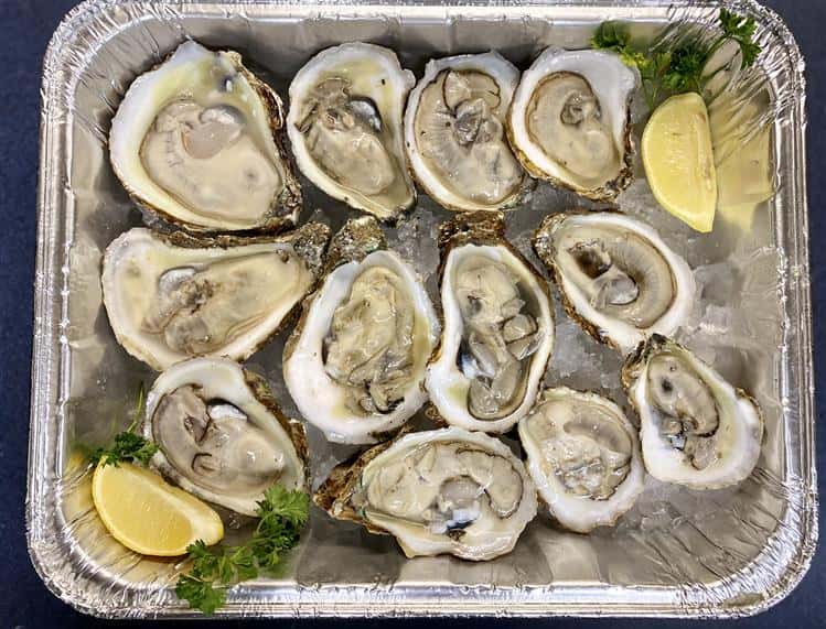 oysters