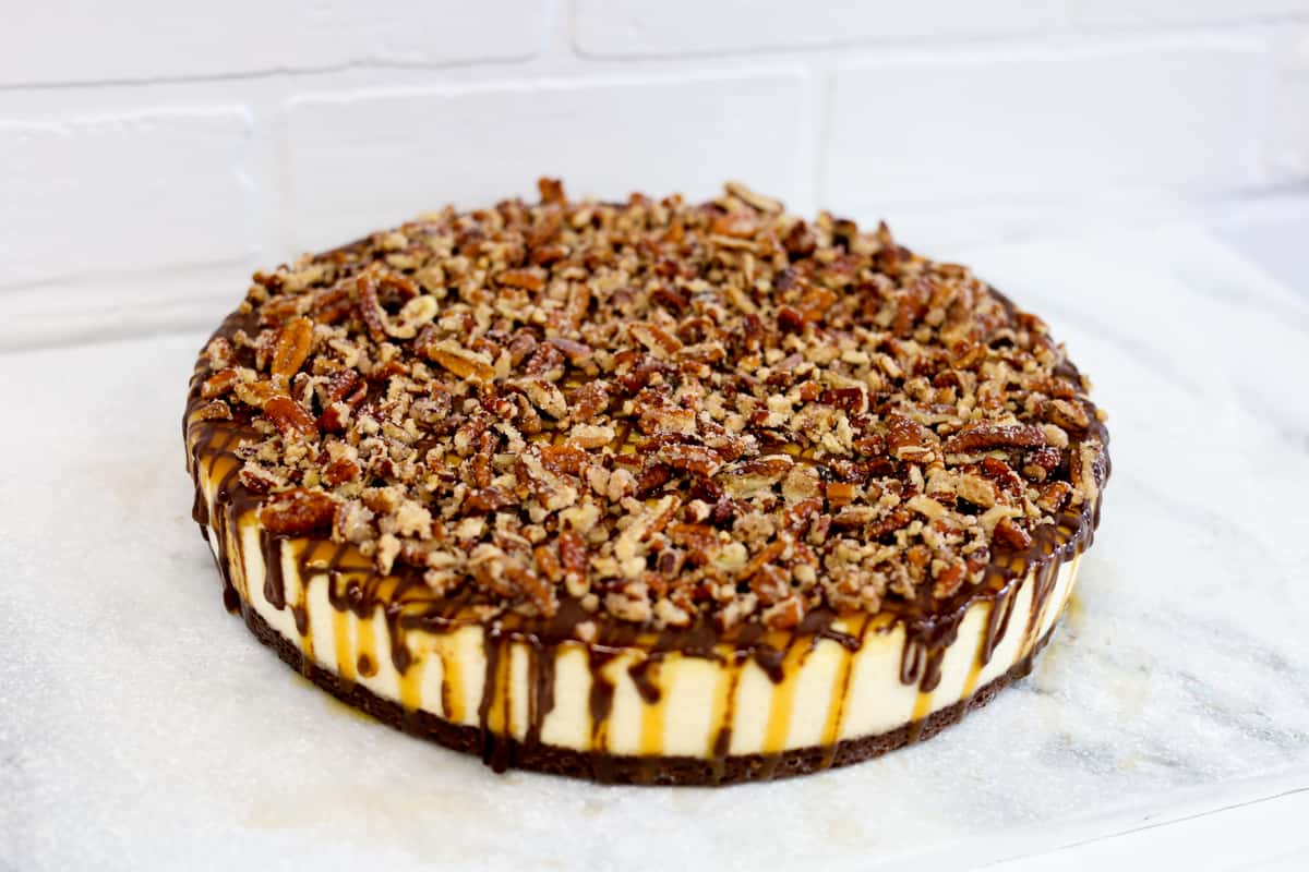Turtle Cheesecake