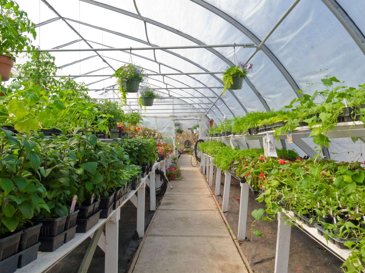 Glasshouse Kitchen (Sysco)