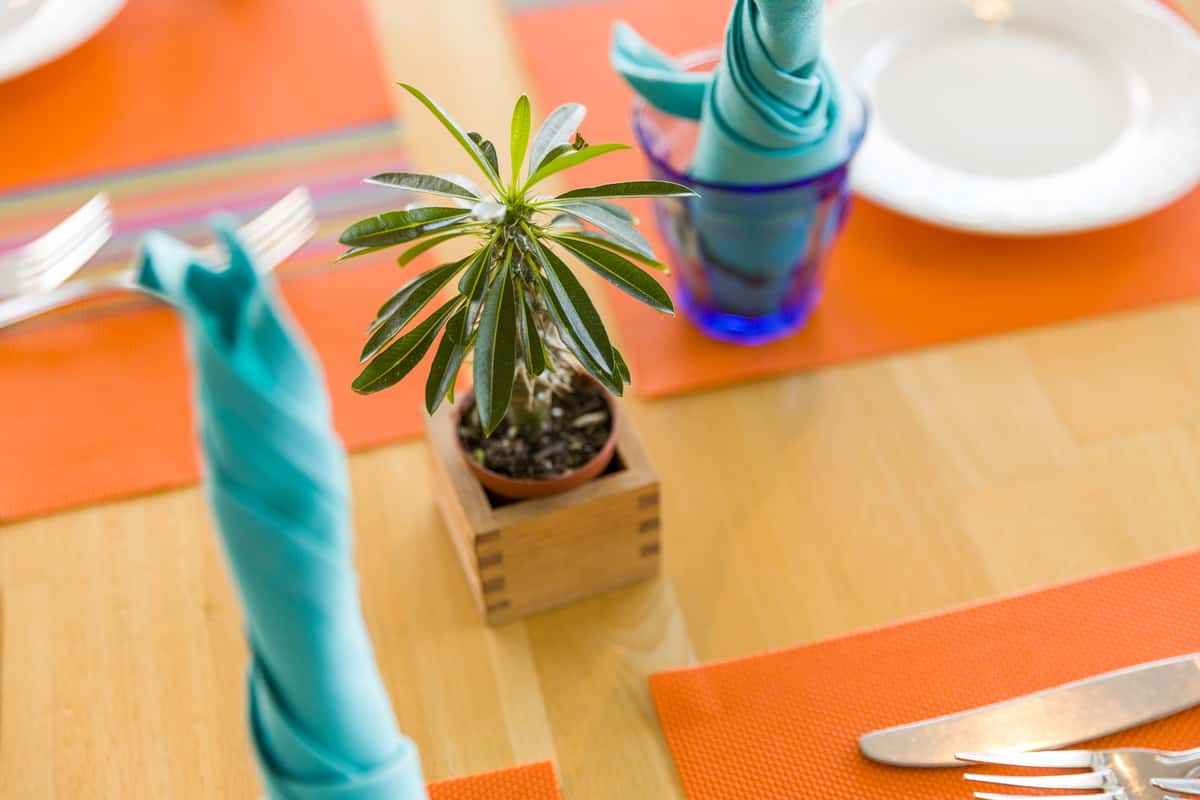 tablescape
