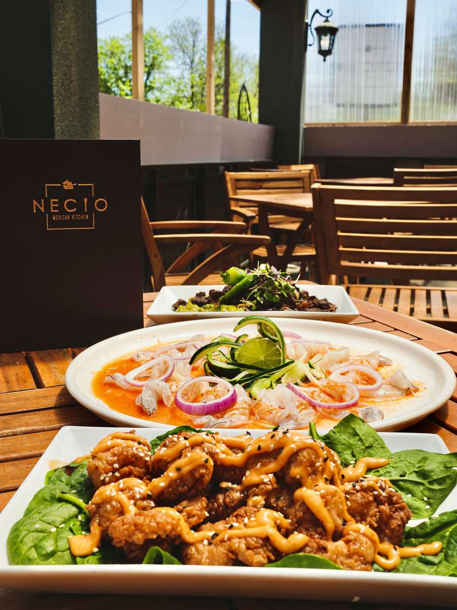 Fresh seafood ceviche and crispy shrimp bites with spicy aioli served on a sunny outdoor patio at a modern Mexican restaurant