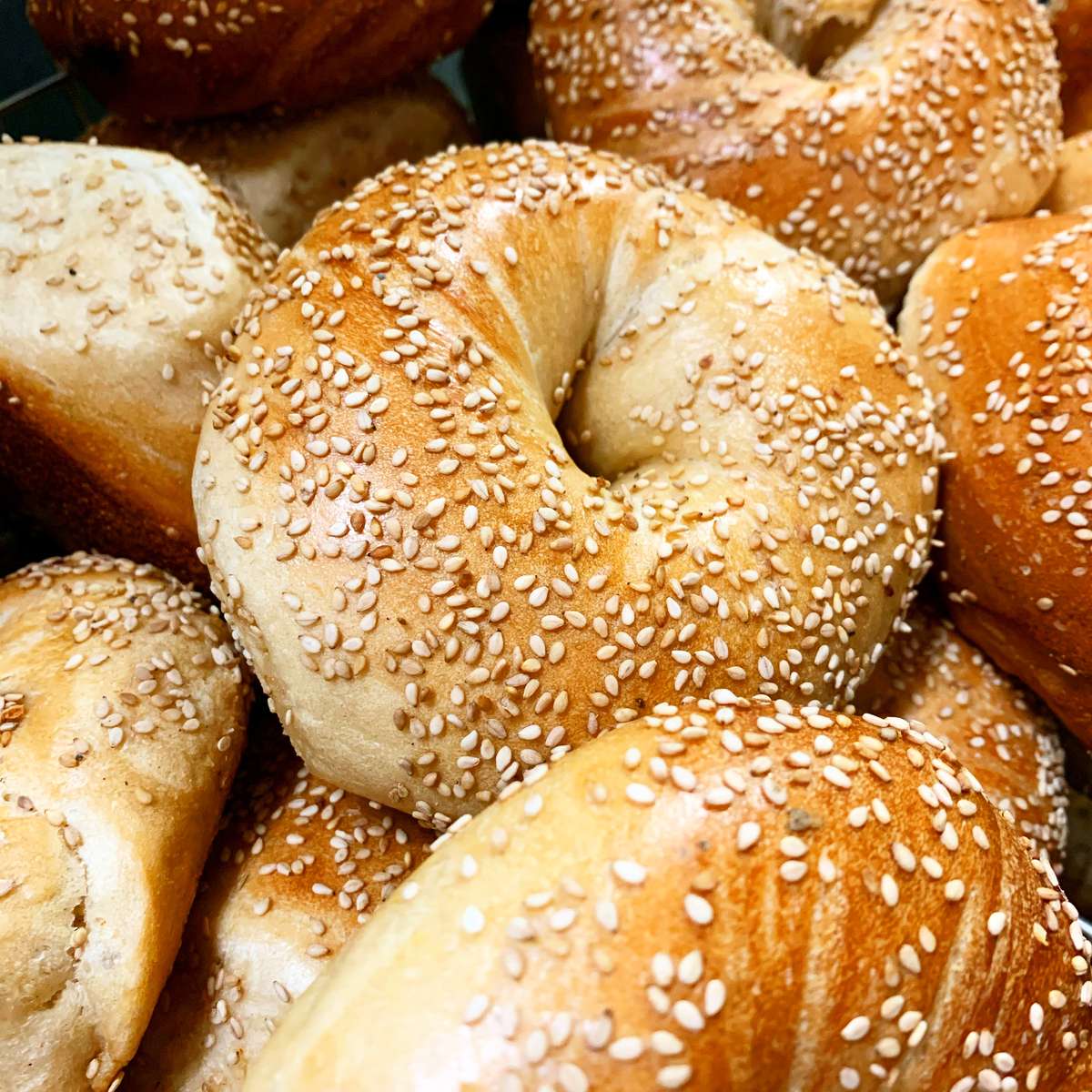 Sesame Bagels