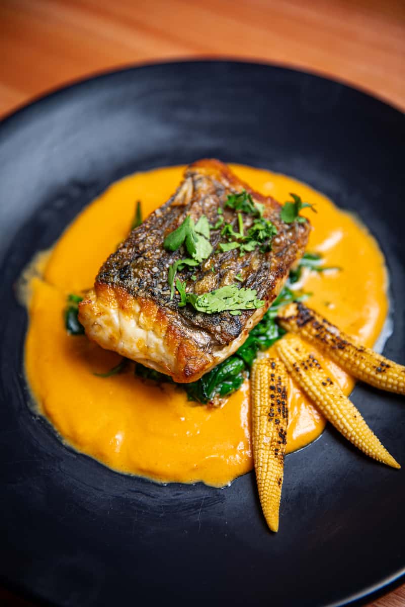 Barramundi with Red Curry