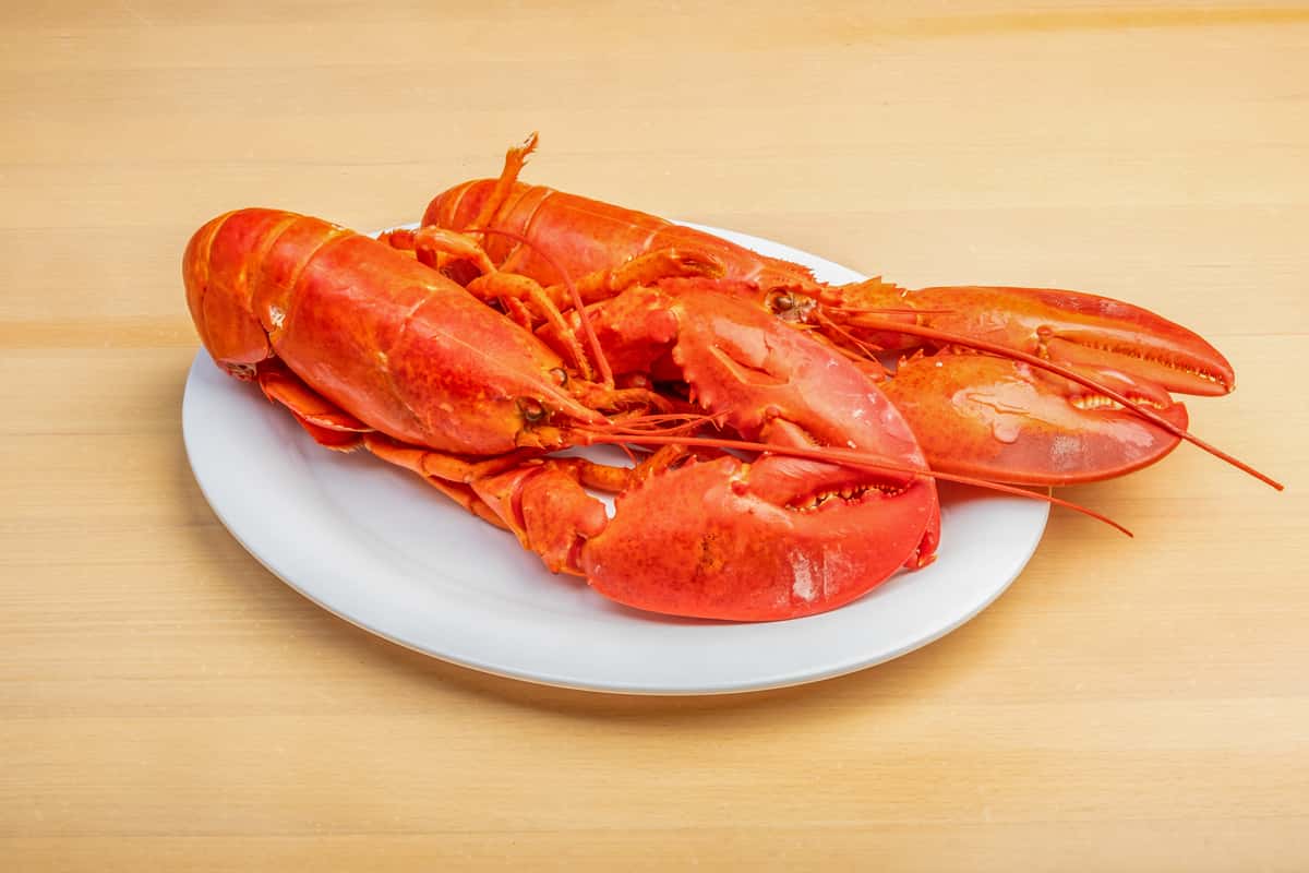 Only Lobsters