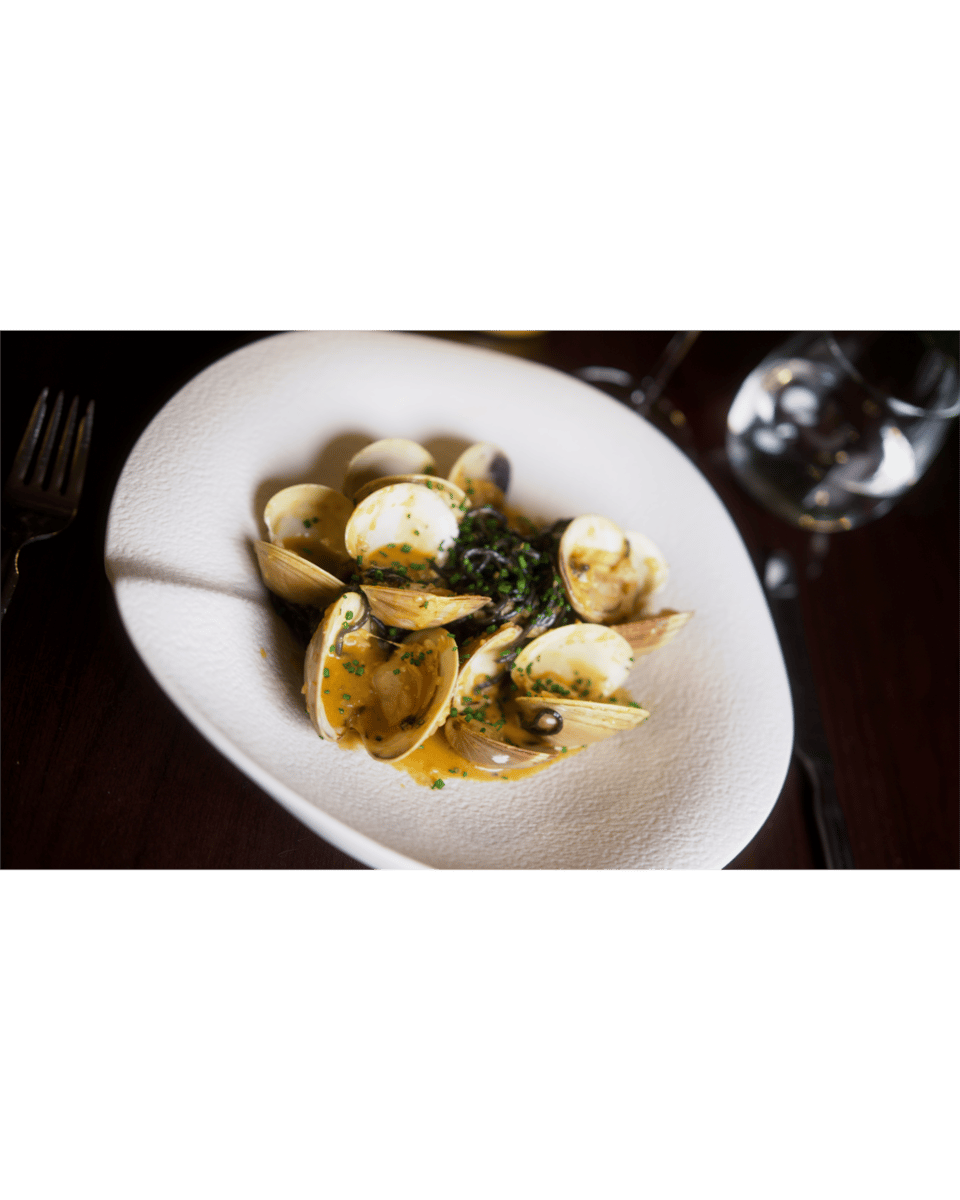 clam