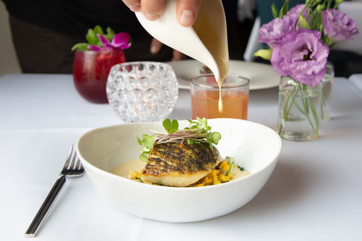 seared fish 