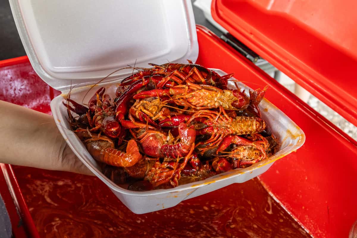 crawfish