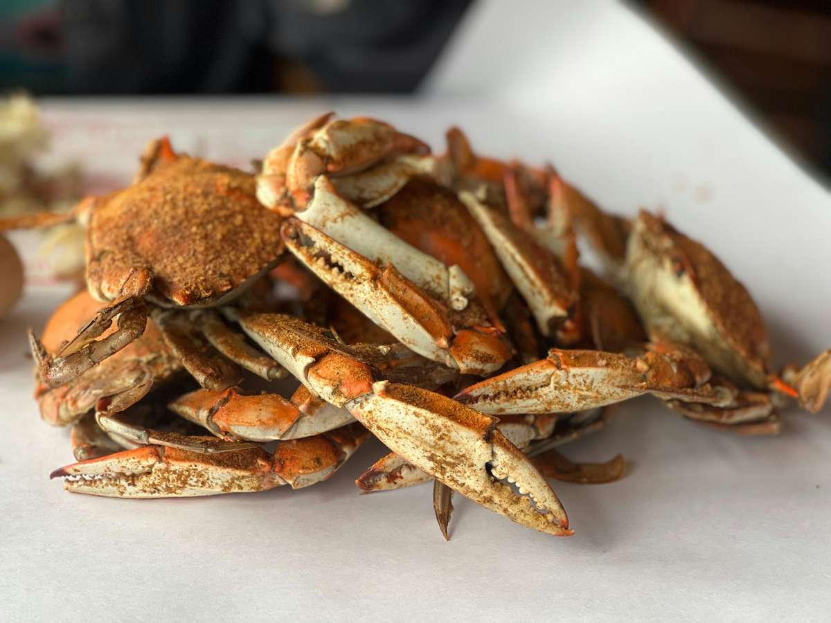 crabs