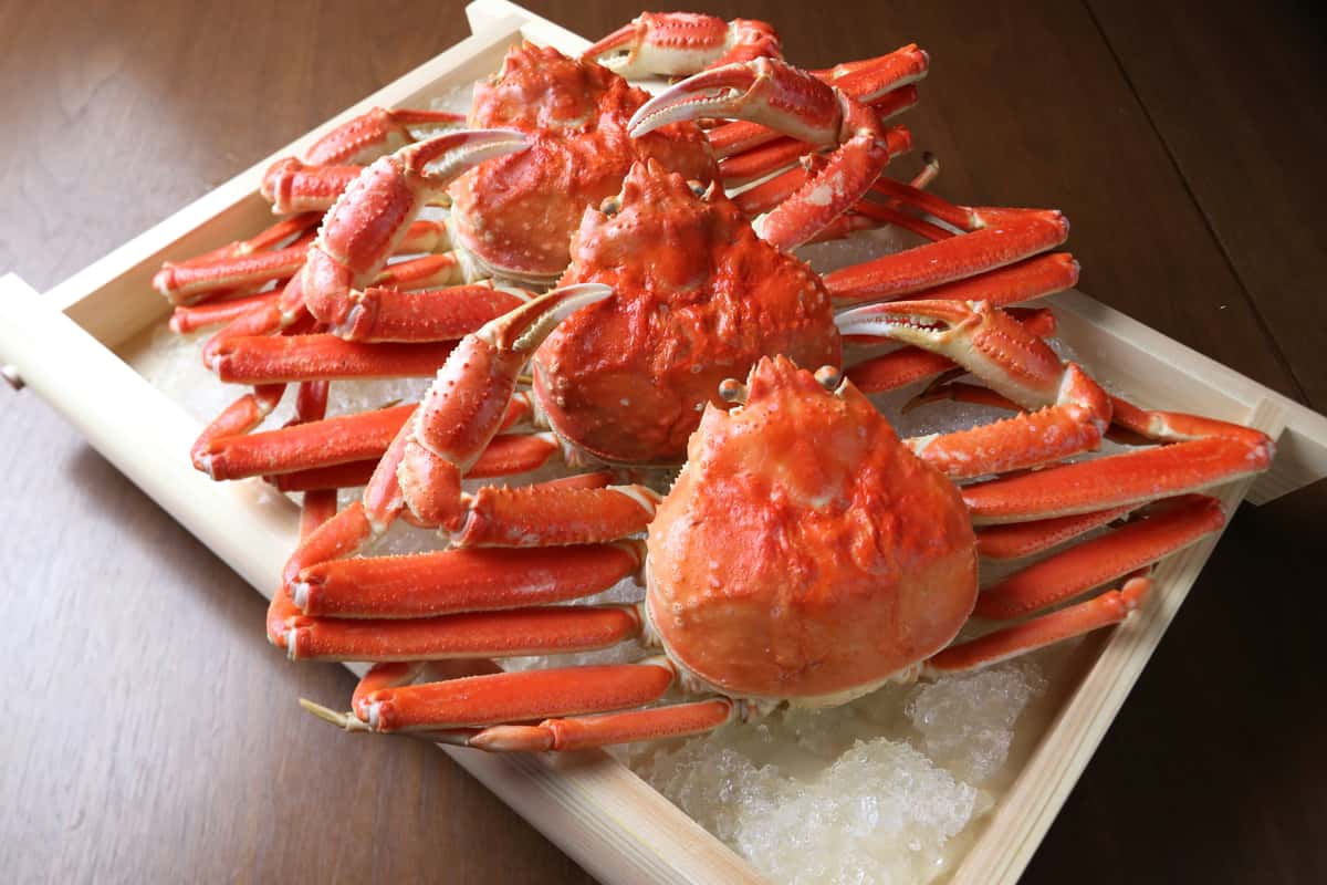 crabs
