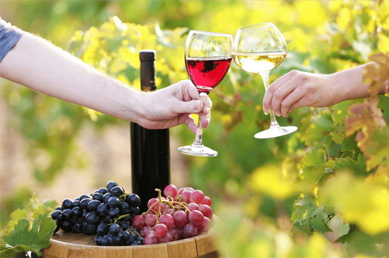 People toasting with wine