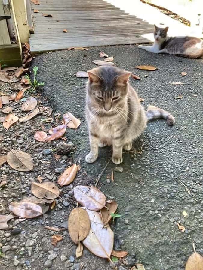 Rudy and Princess